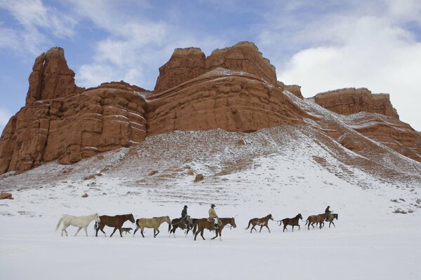 Pferde in den Bergen im Schnee