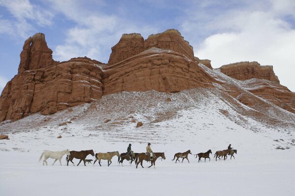 Le cheval dans la montagne sur la neige