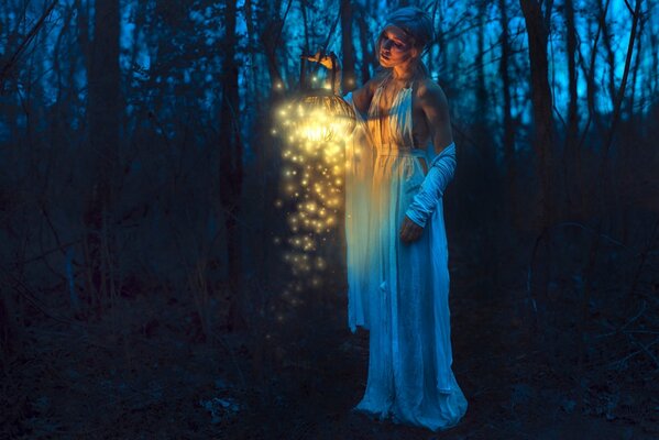 De nuit le miracle dans la forêt sombre