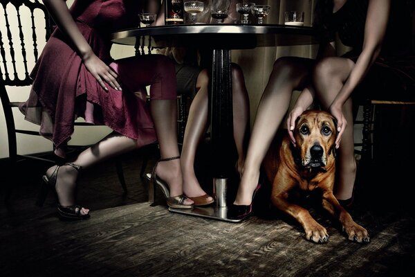 A dog near the feet of the girls sitting at the table