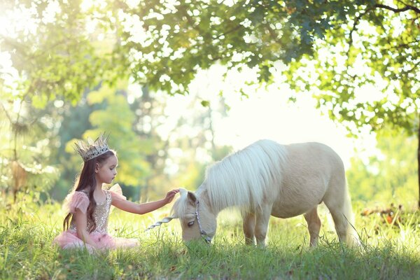 A fairy princess with a unicorn friend