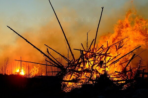 Ein Lagerfeuer aus trockenen Stöcken als Folge eines Feuers