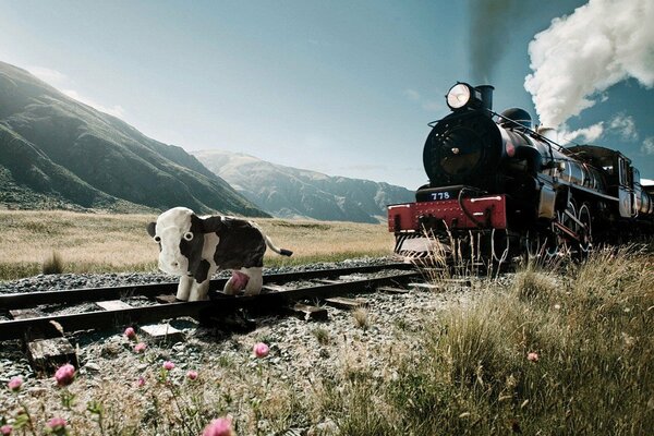 A cow standing on the rails in front of a steam locomotive