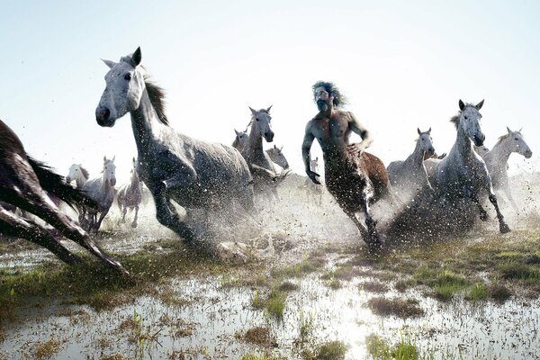 Un Centauro entre los caballos corre