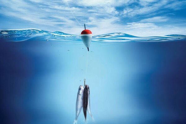 Immagine del processo di pesca in mare