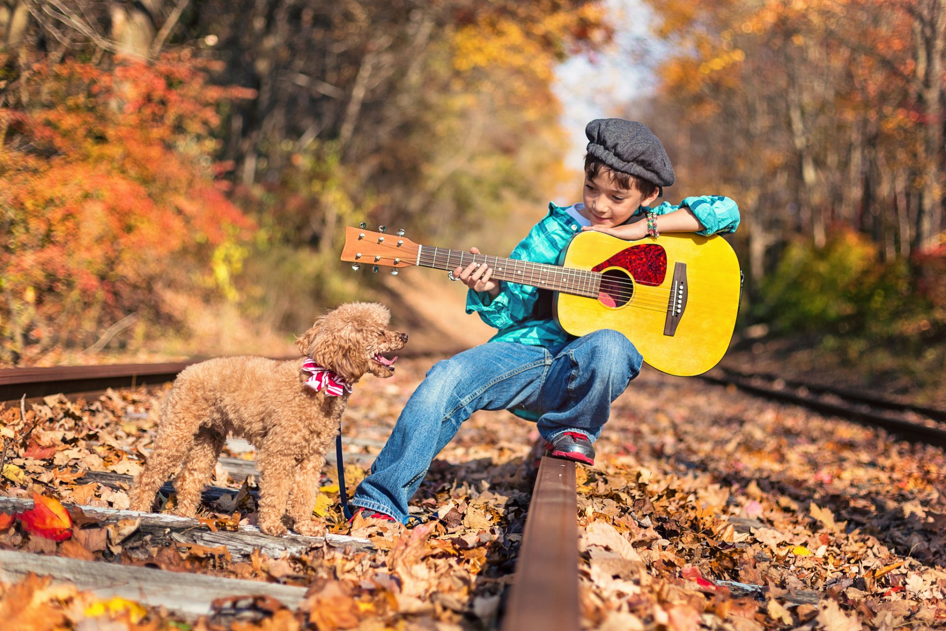 junge gitarre hund pudel natur herbst wald straße schienen