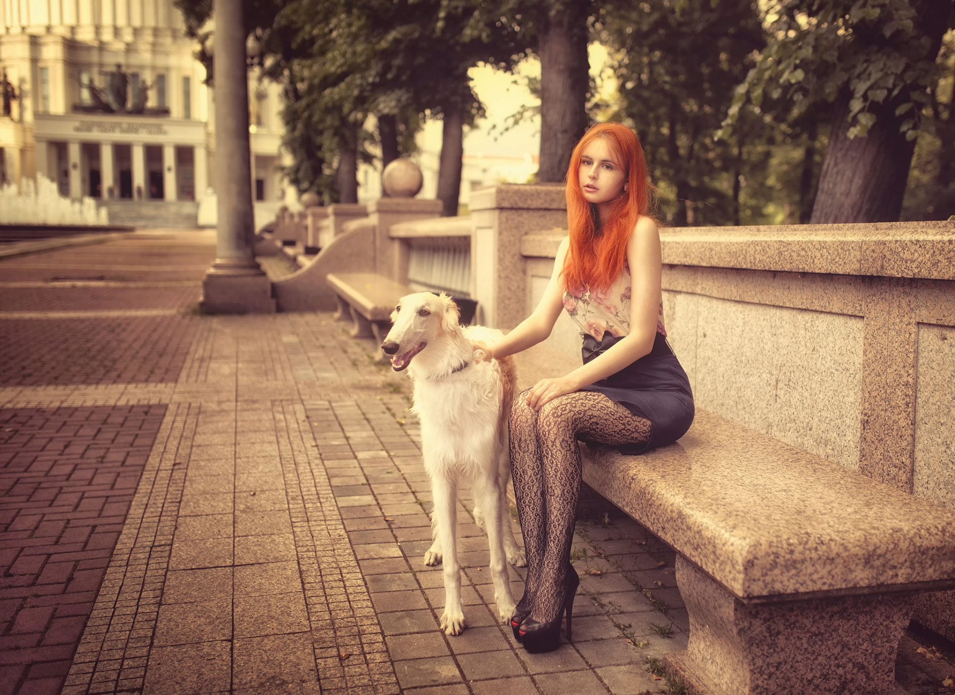 rothaarige mädchen anya bank hund stadt dmitry butvilovskij
