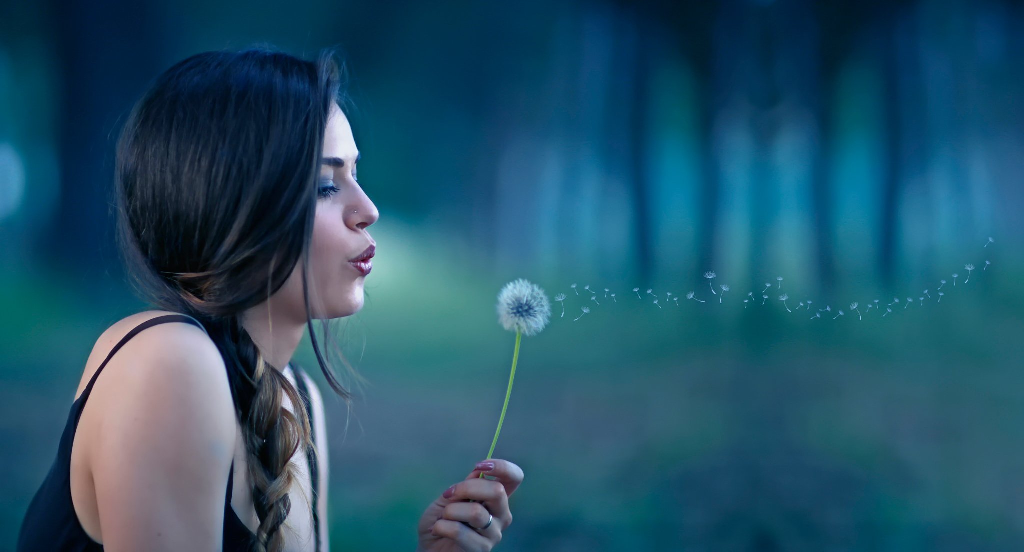 così come sogno ragazza dente di leone spugne bokeh alessandro di cicco