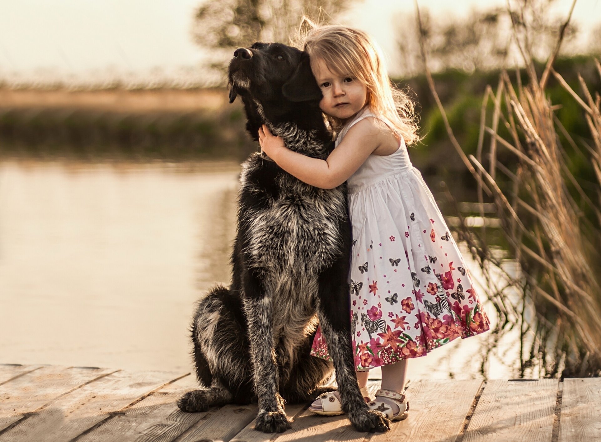 petite fille le chien les amis