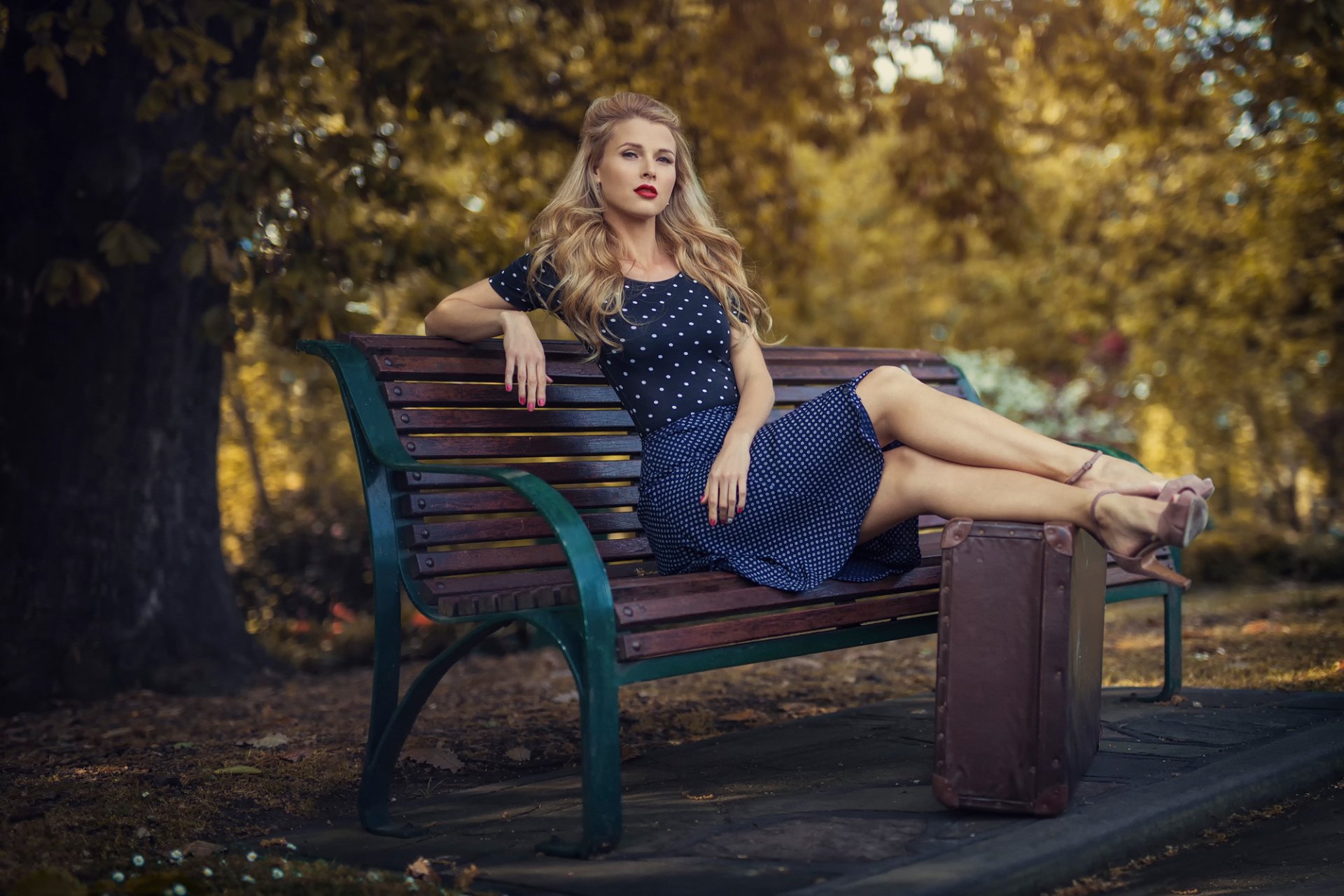 vintage retrò vestito valigia panchina parco città