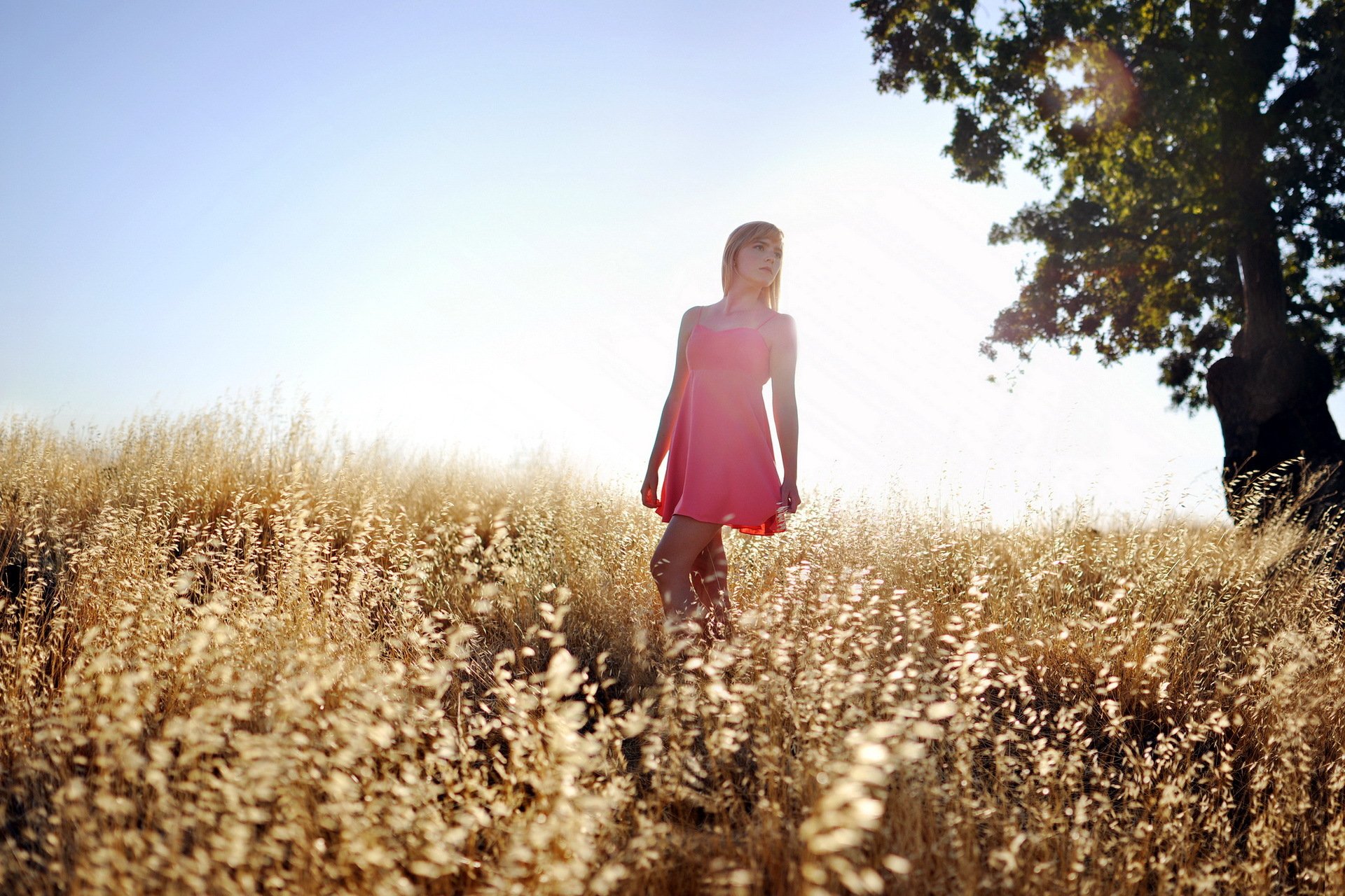 chica verano luz campo