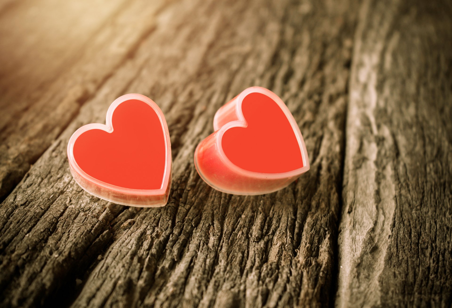 vintage amore romantico albero cuore