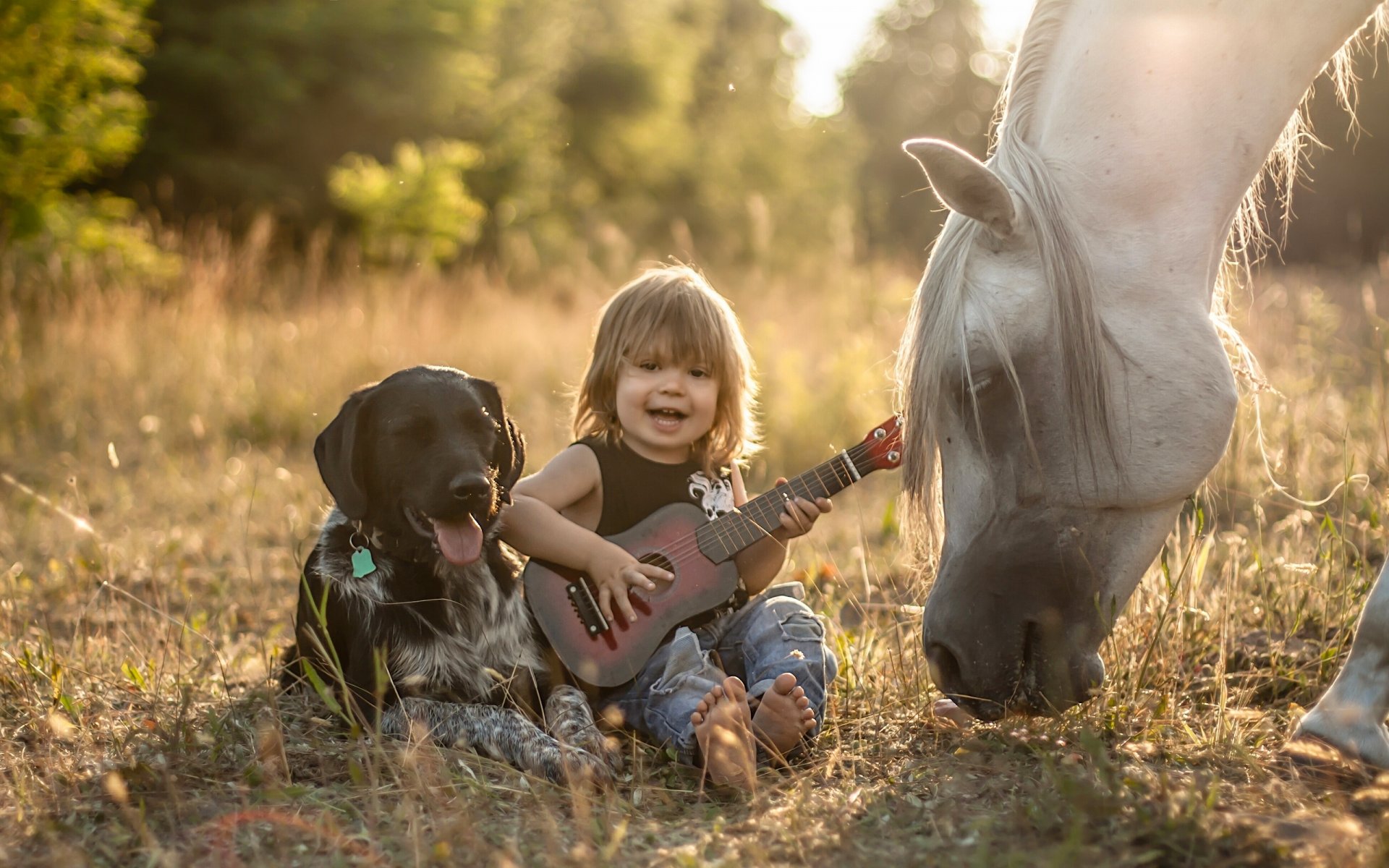 ragazzo cane cavallo cavallo amici amicizia chitarra