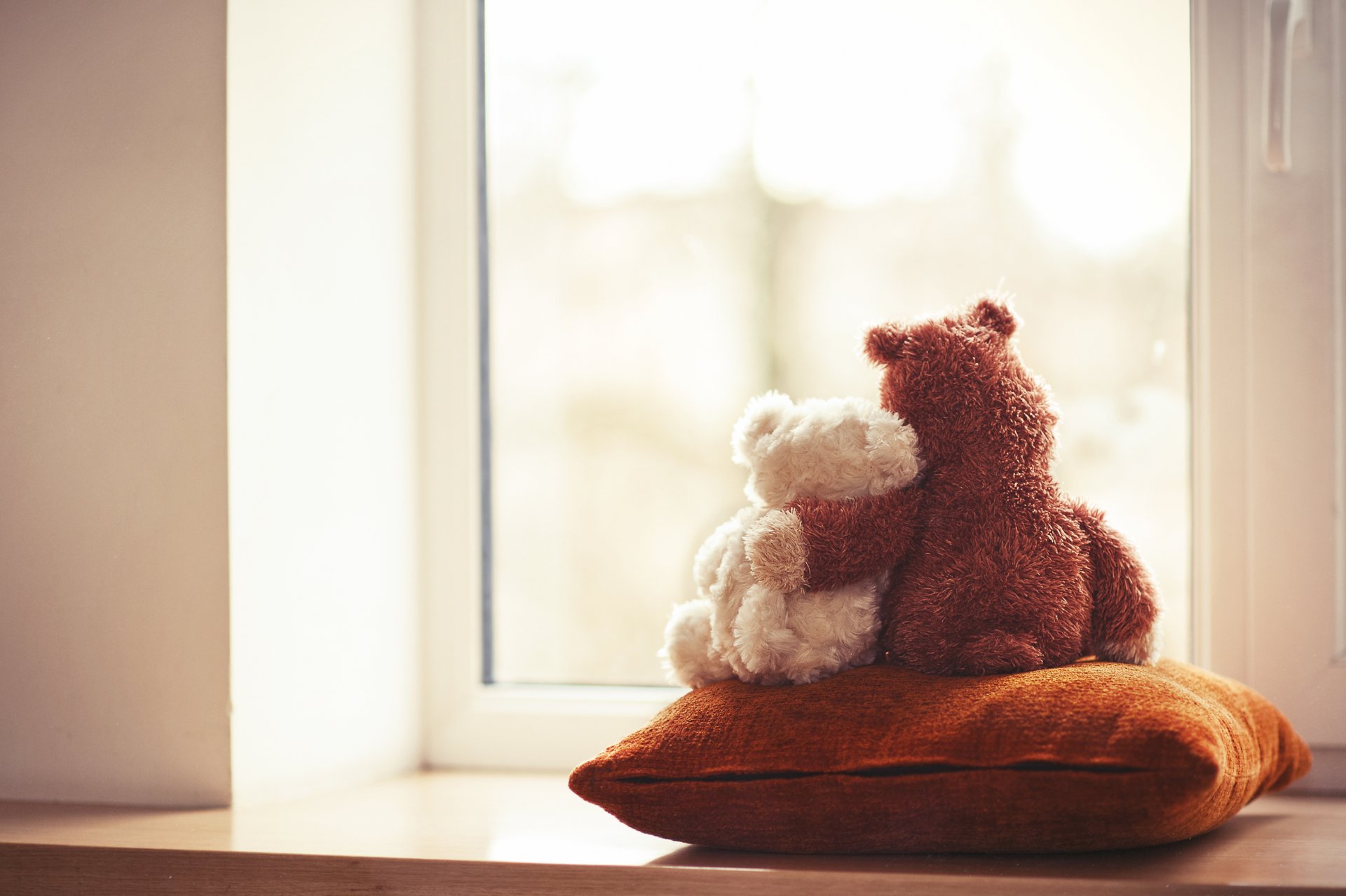 teddy bear toy love friends window bear couple pillow