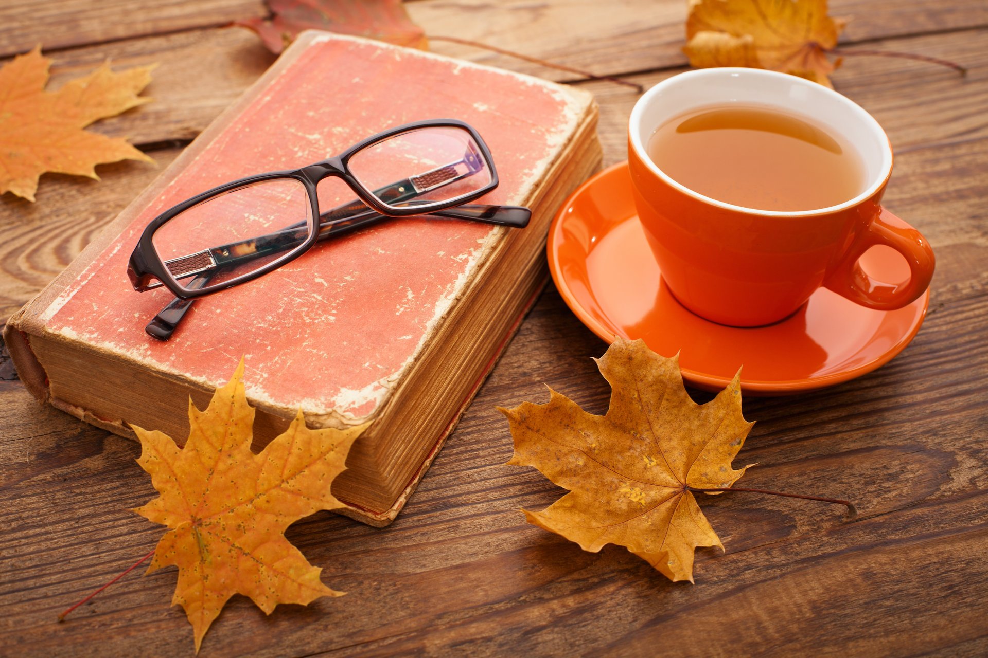 autunno autunno foglie acero tazza tè foglie d autunno