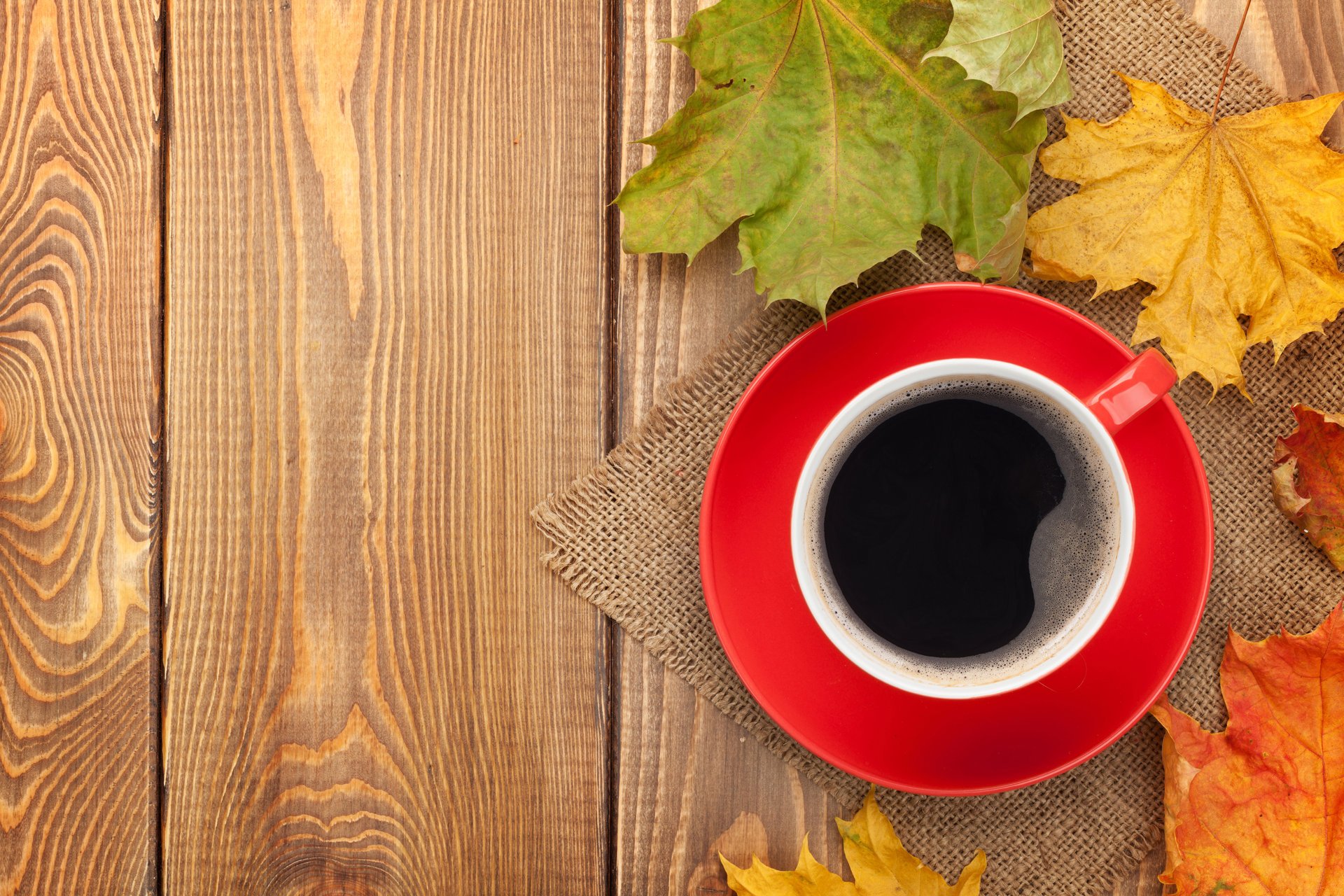 automne automne feuilles érable la tasse le café les feuilles d automne