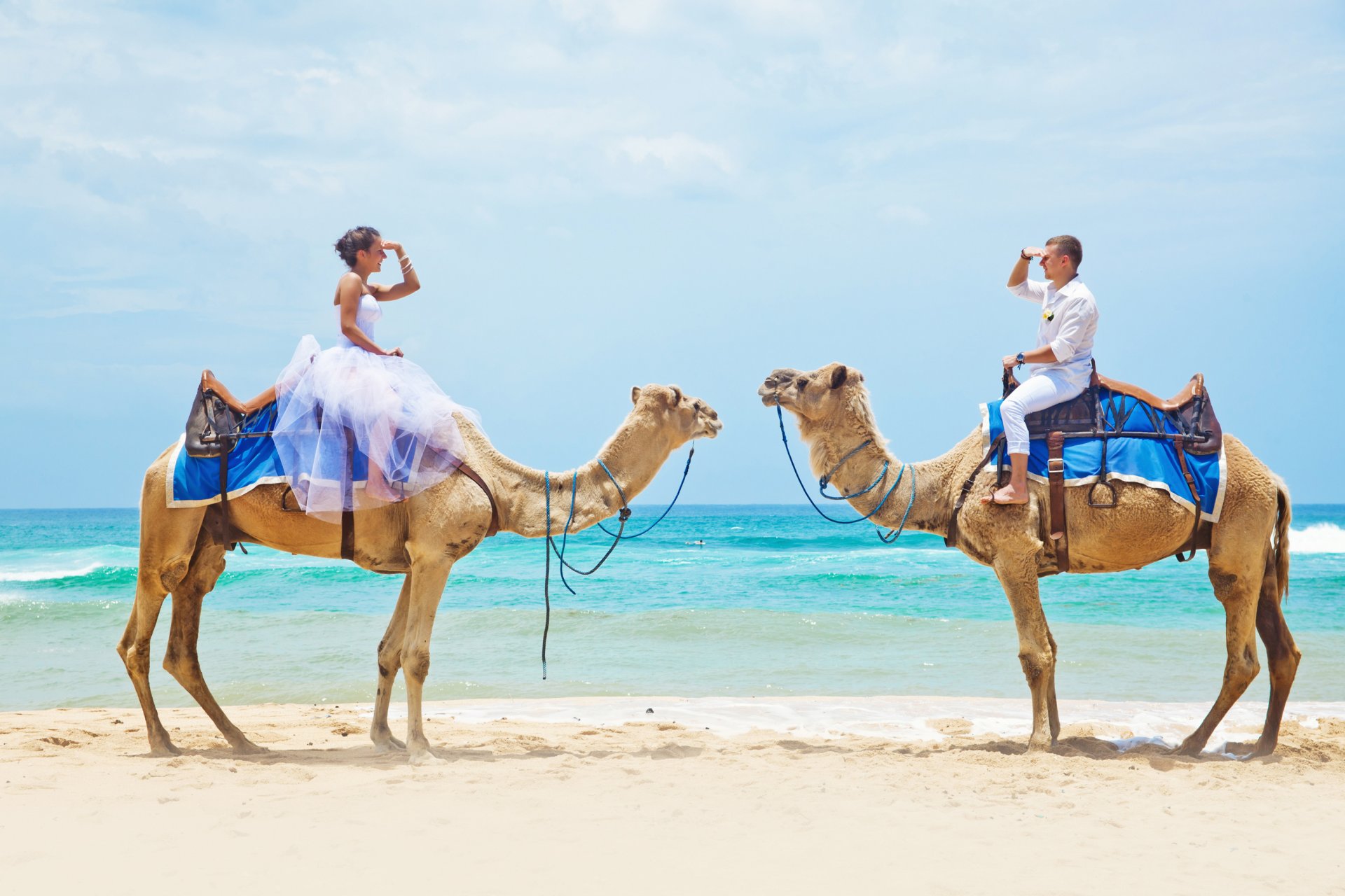 mer plage chameaux couple amoureux