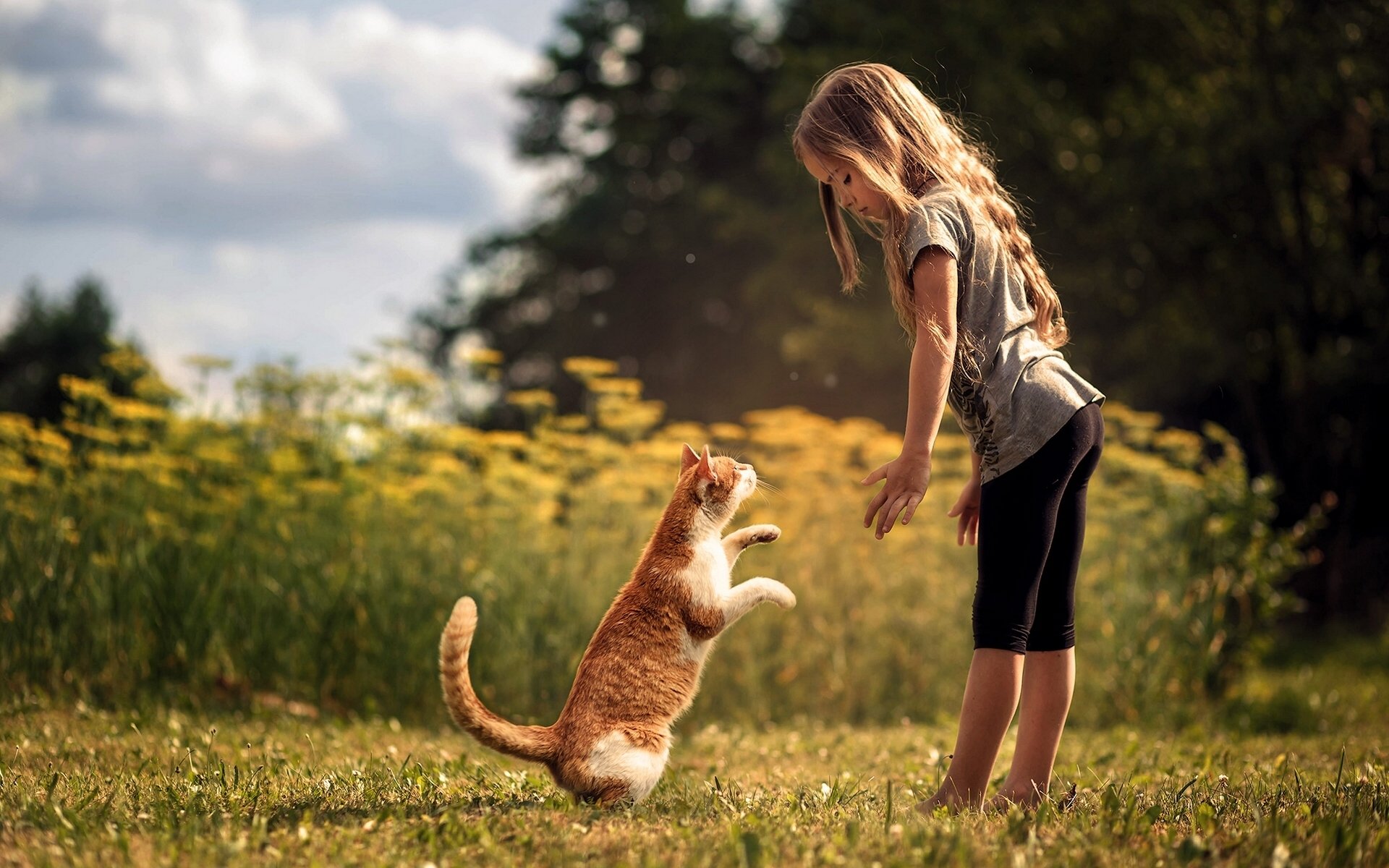 mädchen katze katze freunde freundschaft