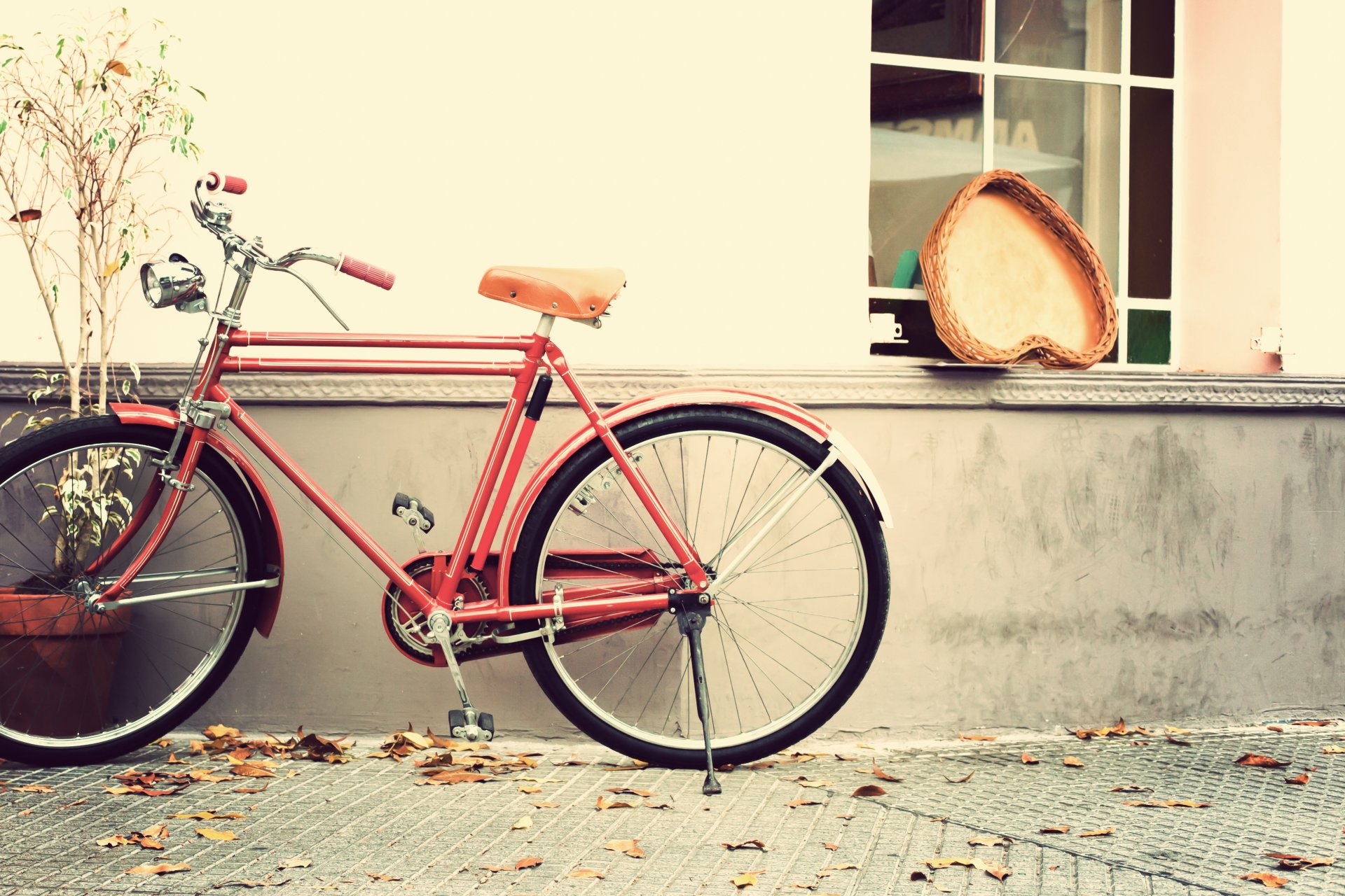 vintage amore romantico bicicletta cuore