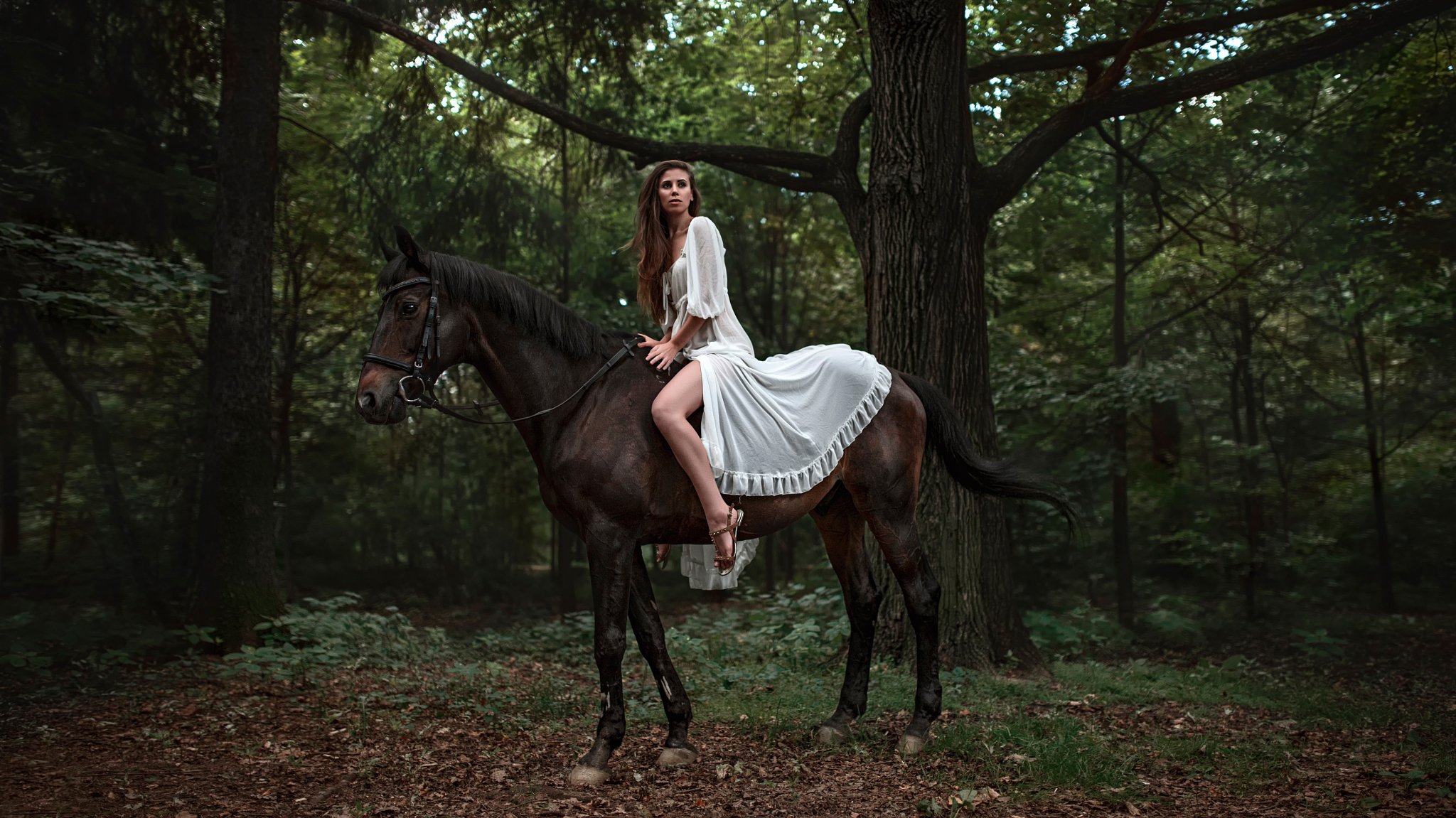 elena bellfegora la jeune fille le cheval la forêt de l aventure le pied george чернядьев