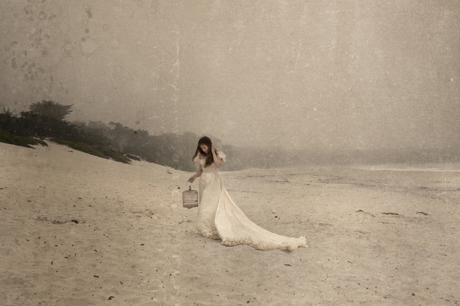la jeune fille châtain la robe la plage la cellule le style