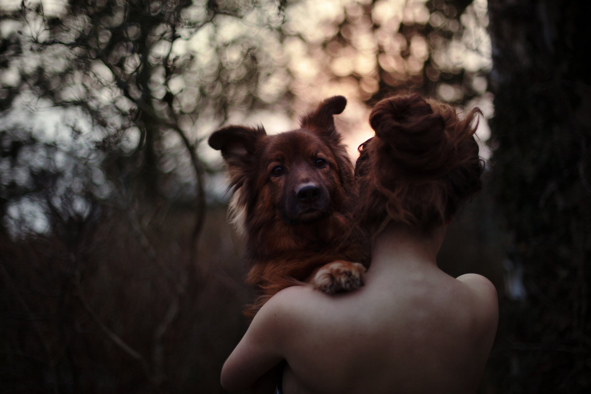 emoción amor perro chica columna vertebral bosque bokeh puesta de sol espalda cabello