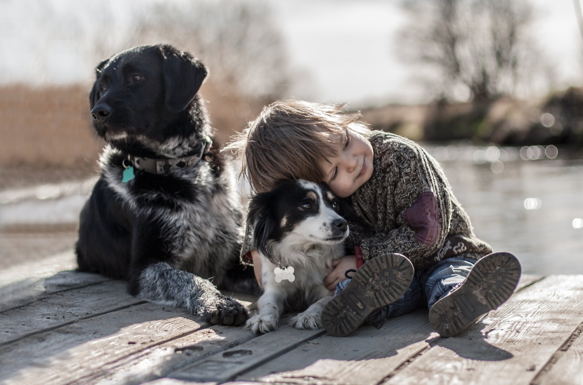 niño perros amigos estado de ánimo