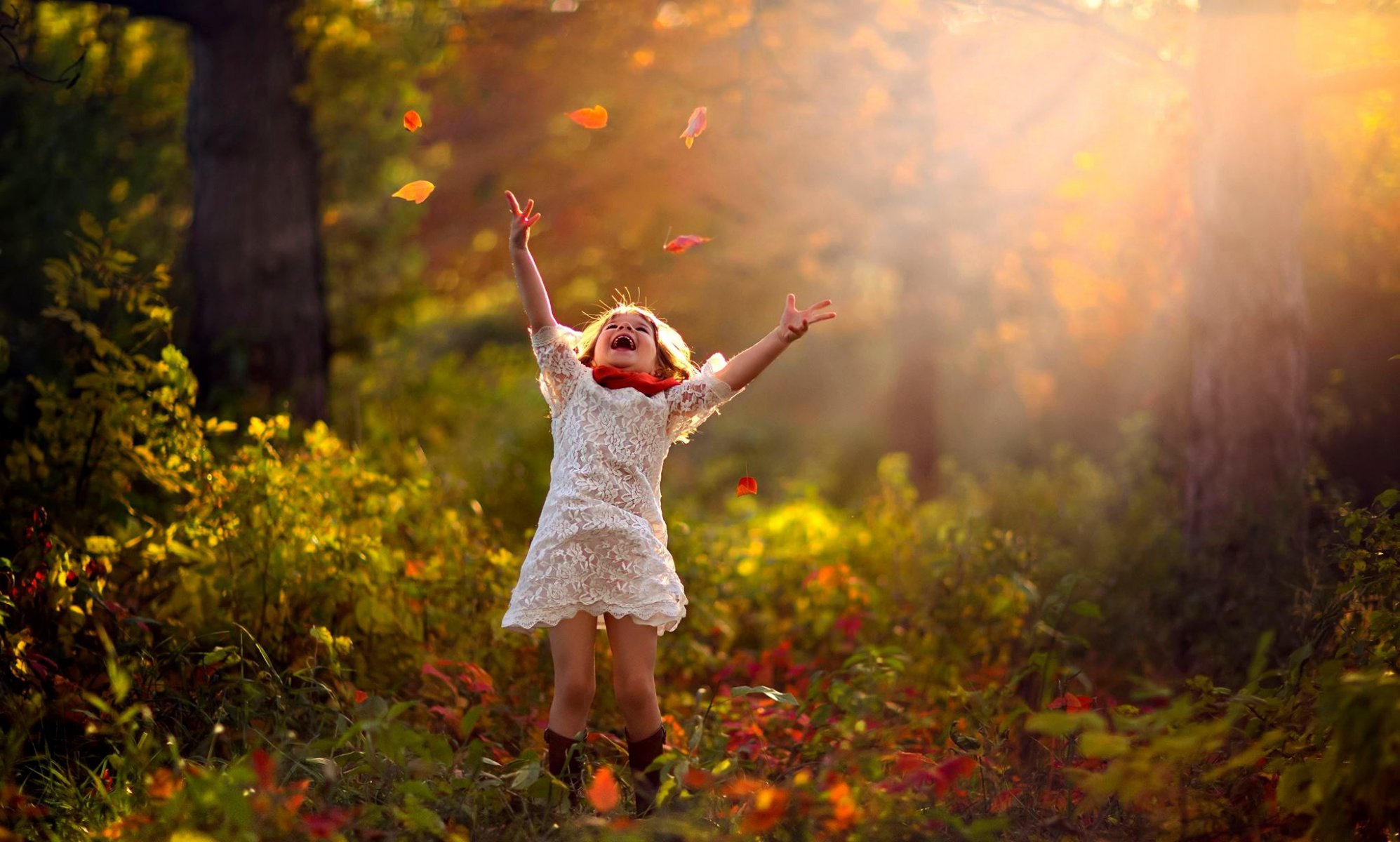autunno bambino ragazza foglie foresta natura alberi