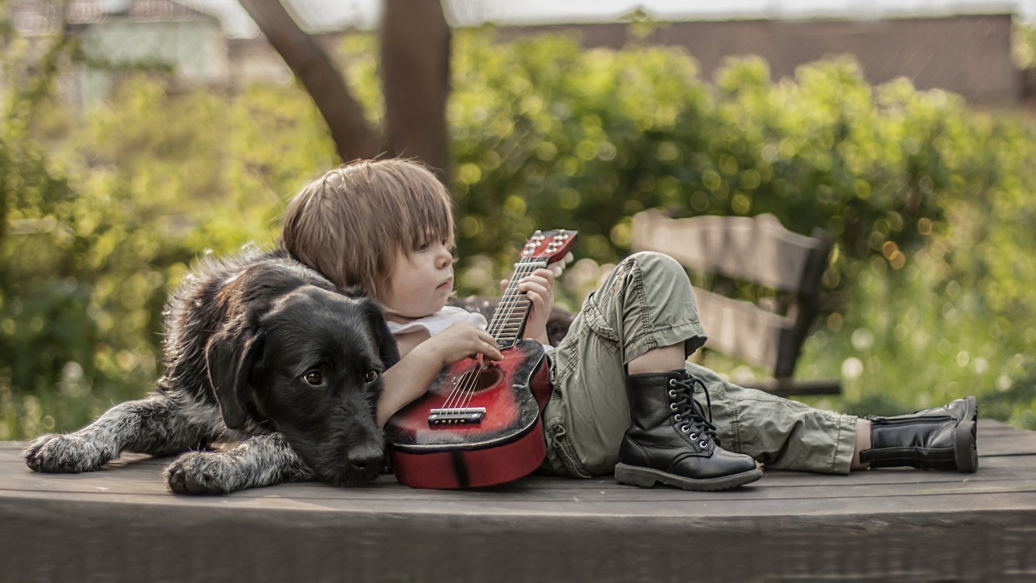 cane ragazzo amici chitarra scarpe