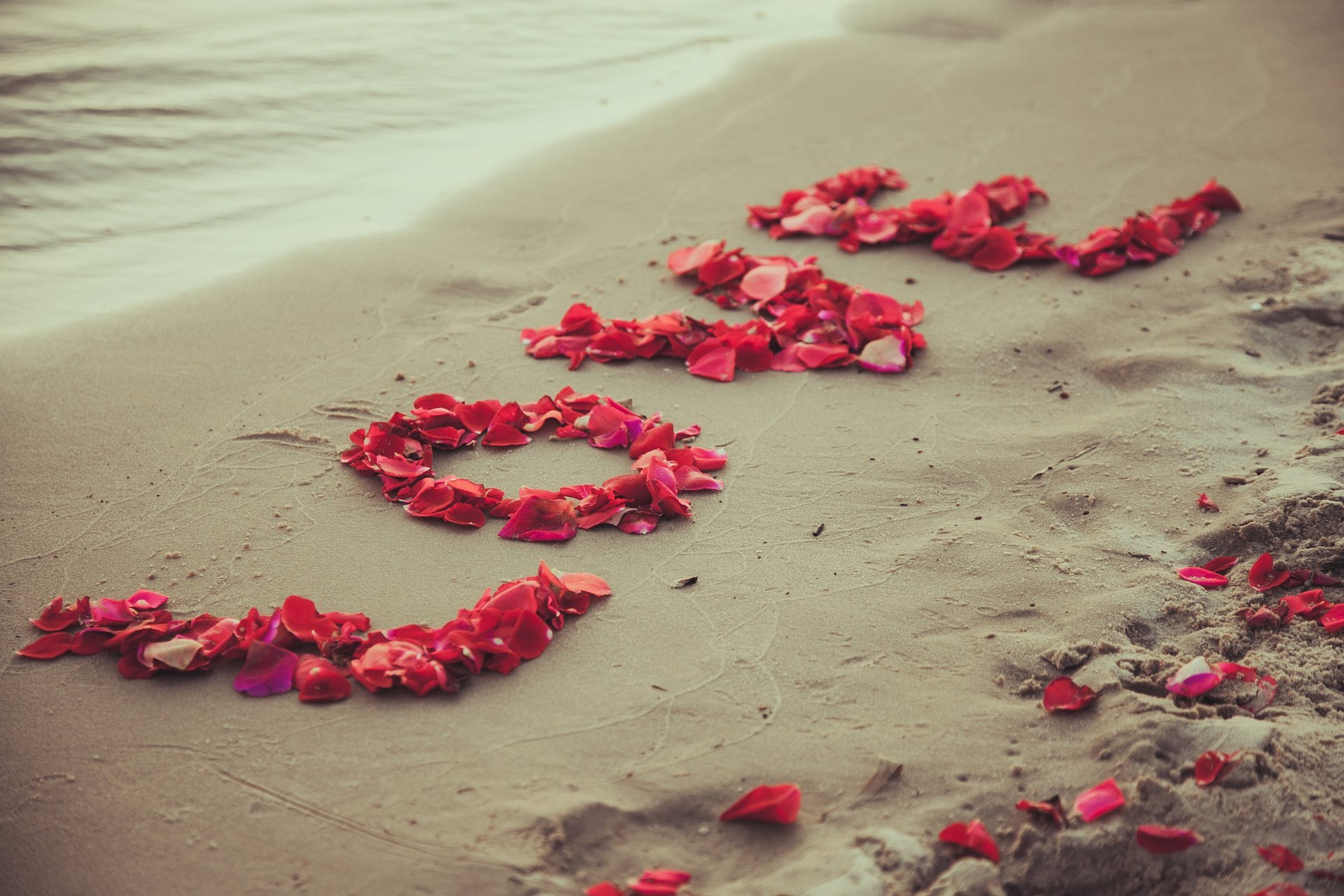 amore romantico petali sabbia spiaggia mare romanticismo