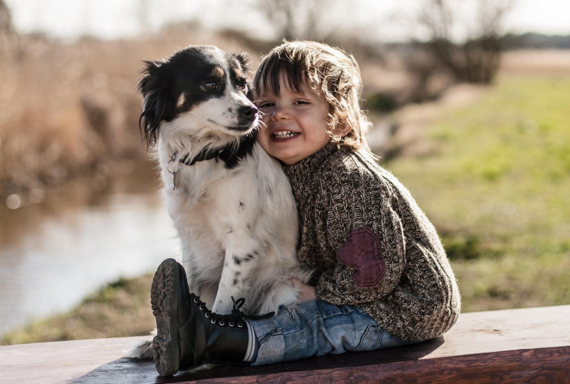 junge hund freunde freude stimmung