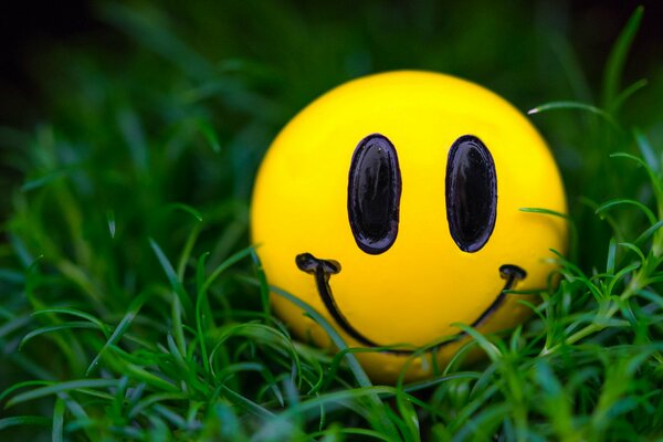 Sourire de smiley dans l herbe verte