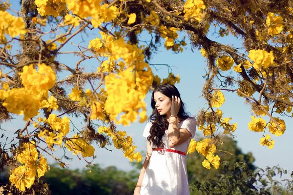 Model photo on the background of a yellow tree