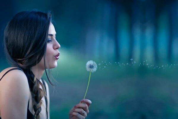 A girl with a pigtail blows on a dandelion