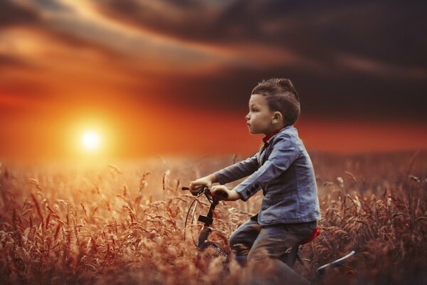 Ragazzo che cavalca il campo in bicicletta sullo sfondo del tramonto