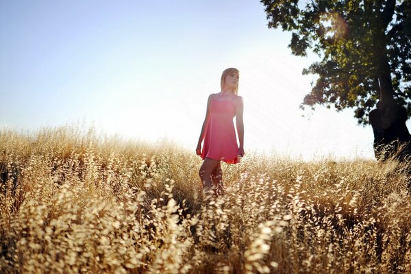 A girl walks in the field