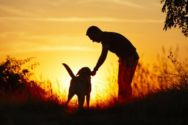 Al tramonto, un ragazzo nutre un cane