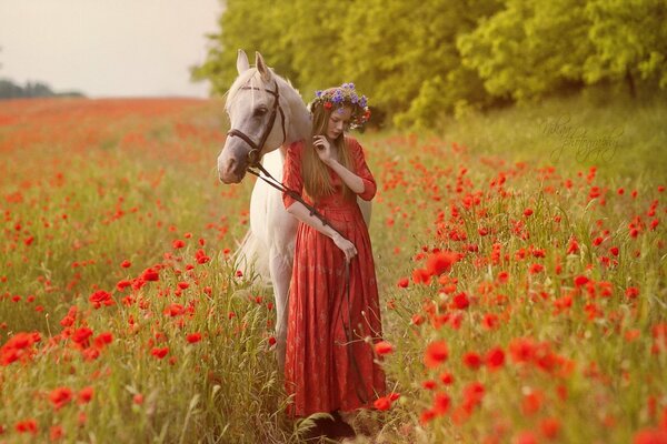 Chica con un caballo en un campo de amapola