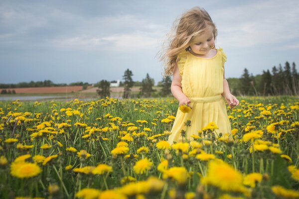A girl in a meadow with dandelions in a yellow dress