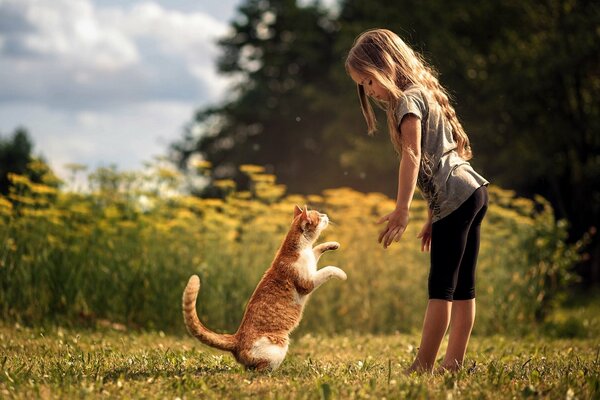 Gato rojo. Chica con gato en la naturaleza