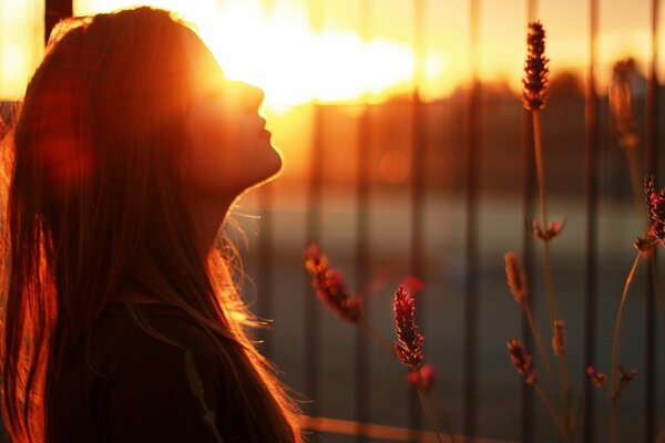 Belle fille sans lunettes sur fond de coucher de soleil