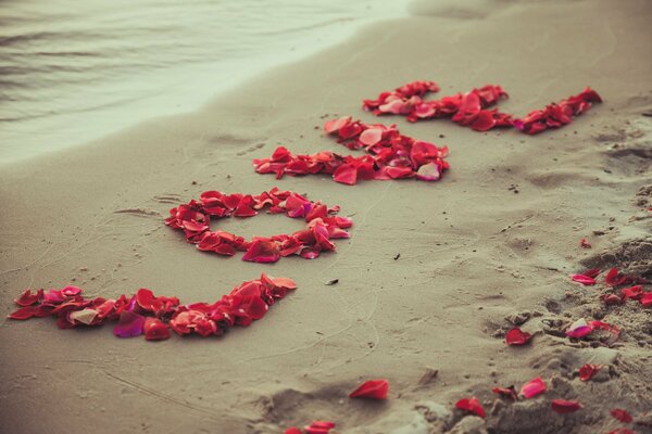 Liebe Rosenblüten am Sandstrand