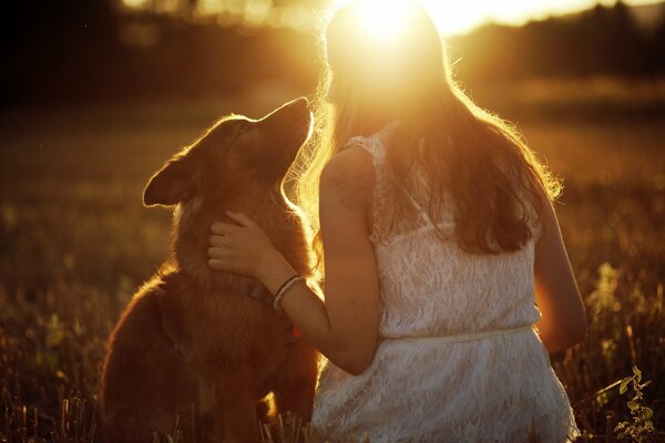 A dog and a girl are sitting in the sunset rays