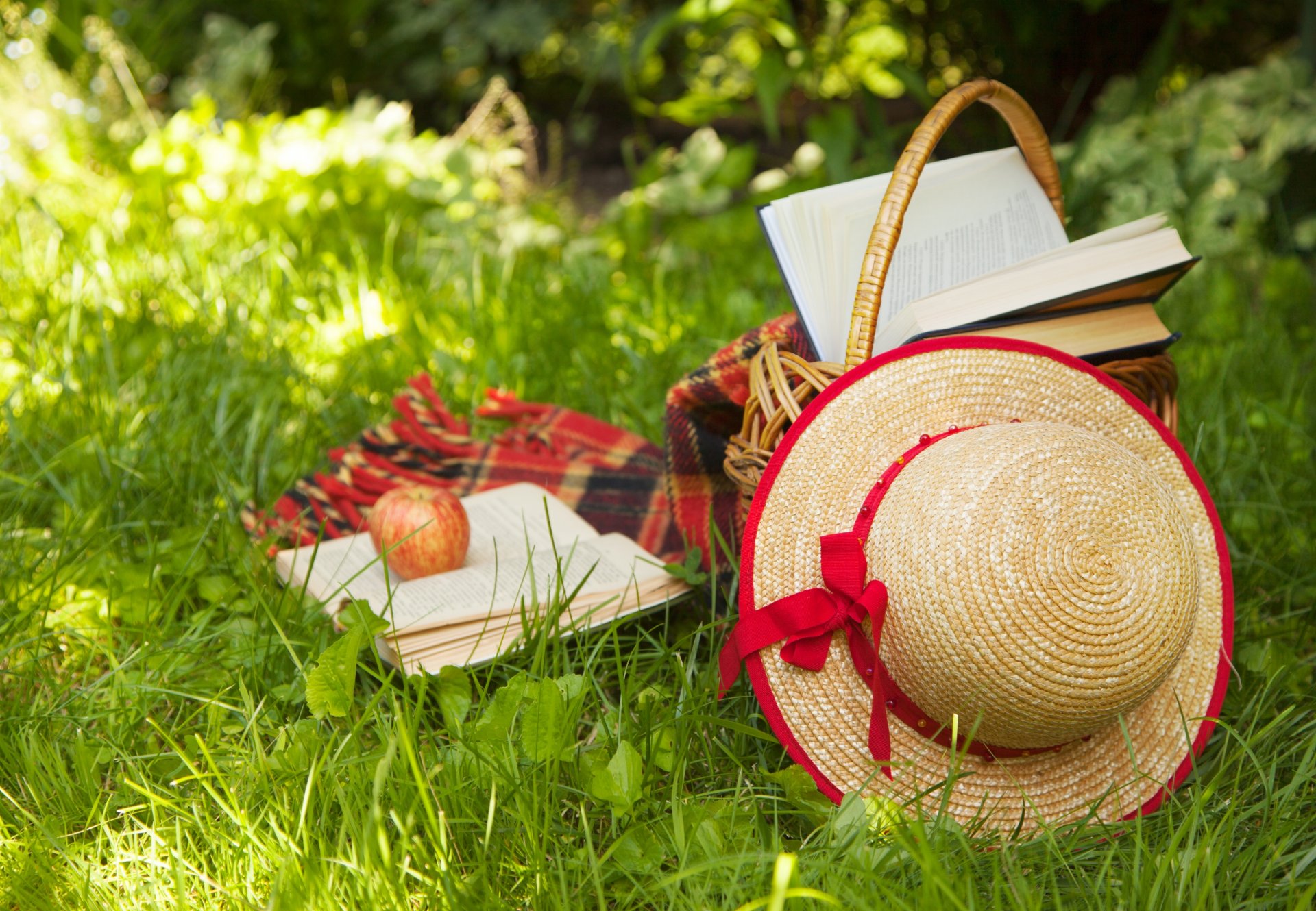 basket books apple hat hat straw plaid grass nature summer