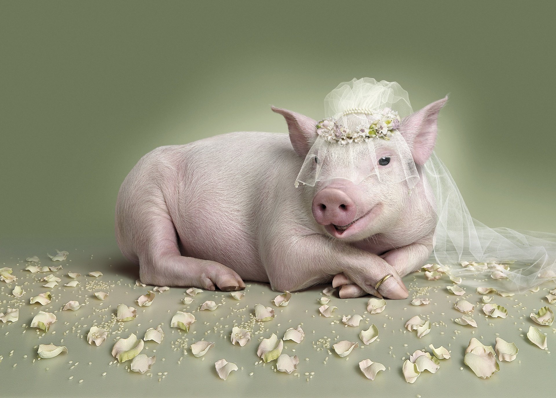 piggy sposa matrimonio anello petali