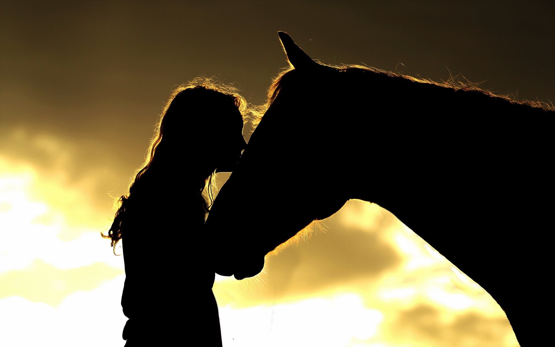 girl horse silhouette