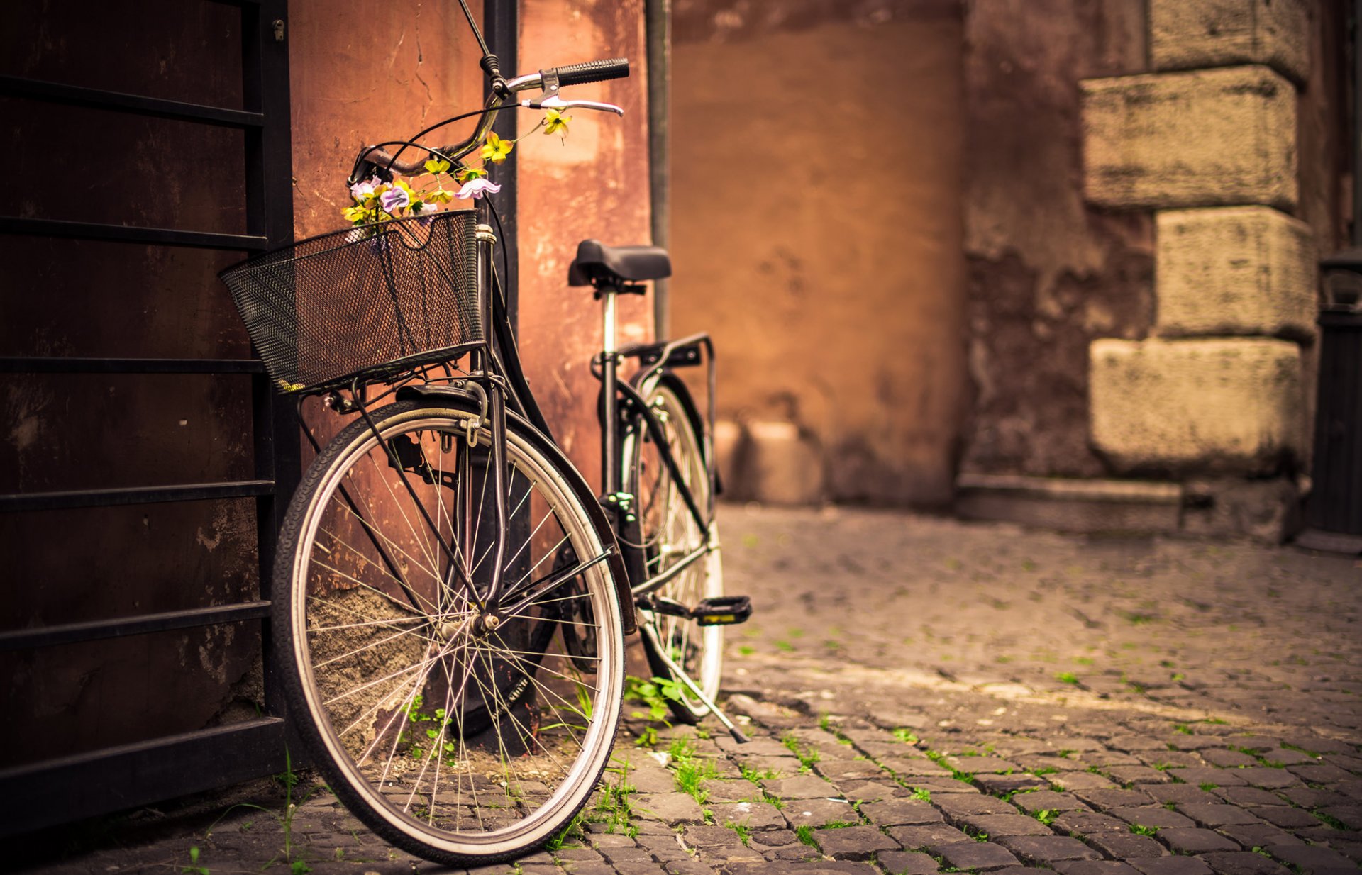 vélo panier de fleurs mur trottoir route