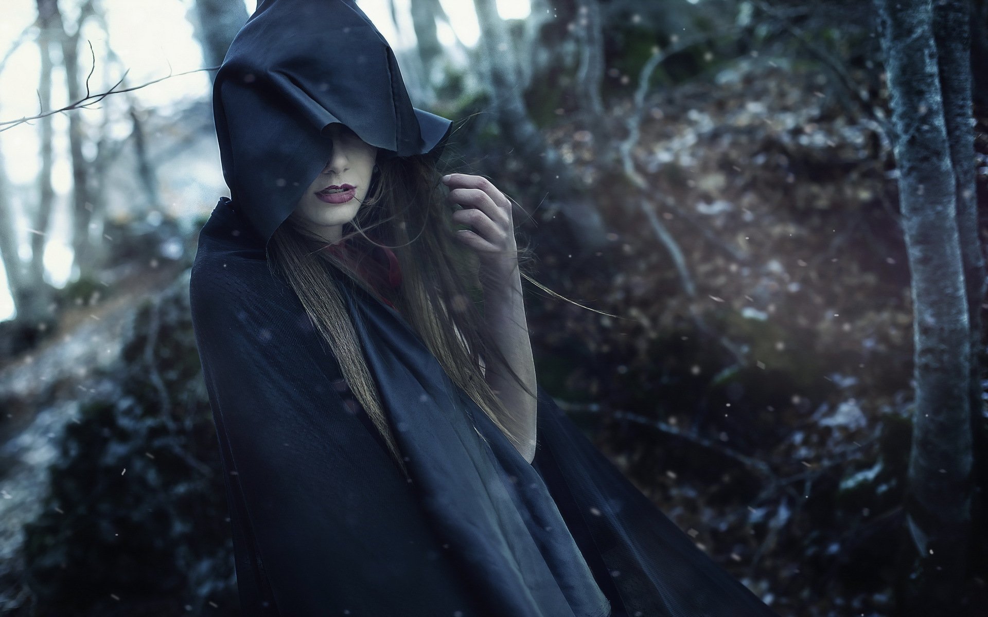 la jeune fille la forêt la neige