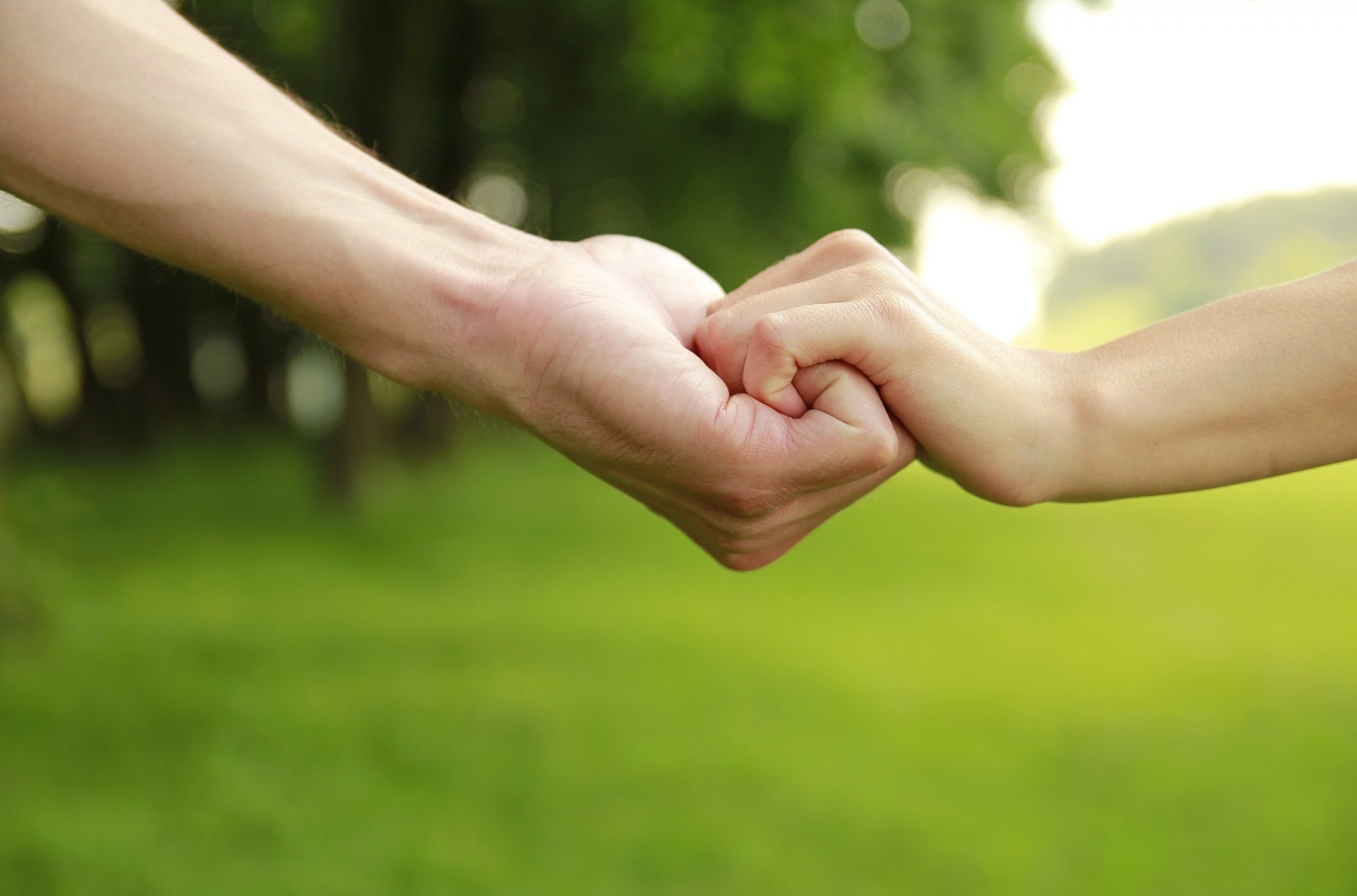 humeur mec homme enfant enfants fille garçon papa le père le fils la protection le soutien main vert toile de fond des arbres des fonds d écran grand écran plein écran grand écran grand écran