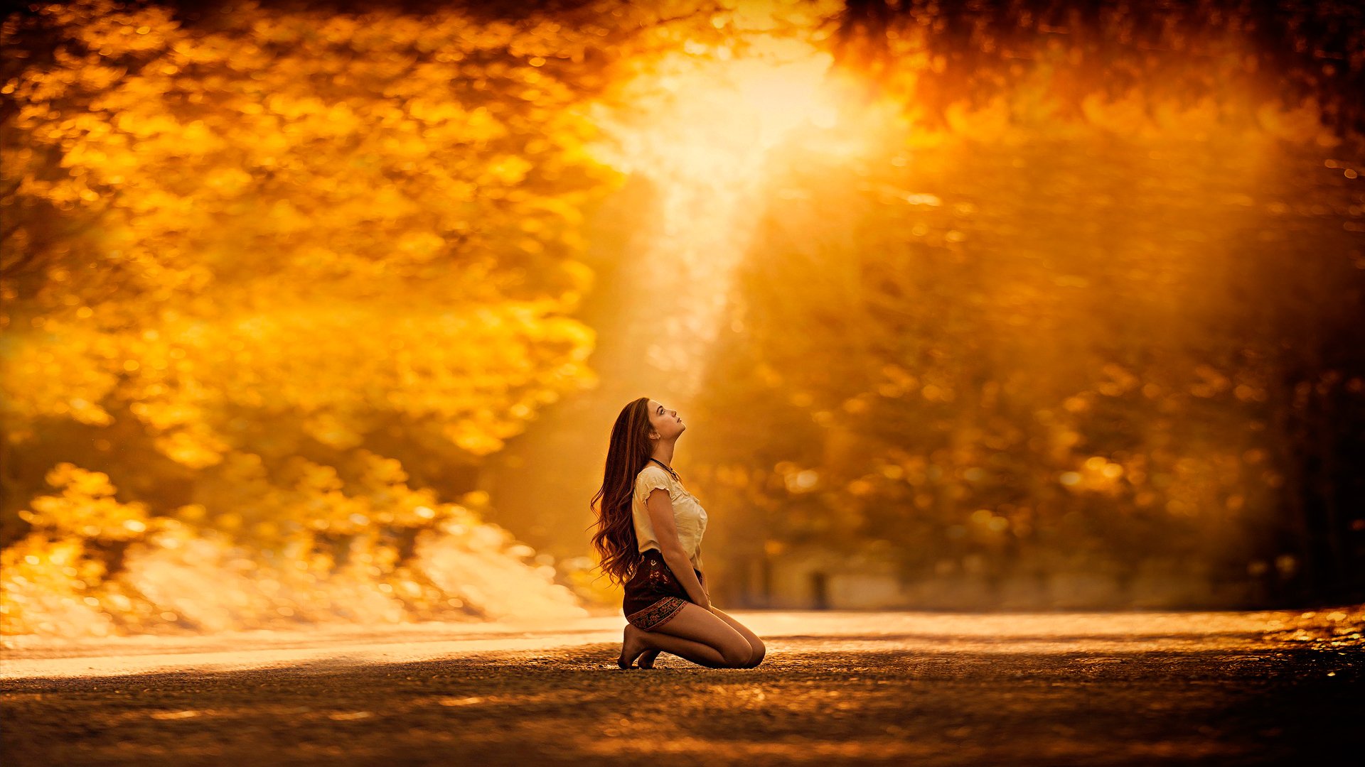 l automne l humeur l automne la jeune fille la route de l or